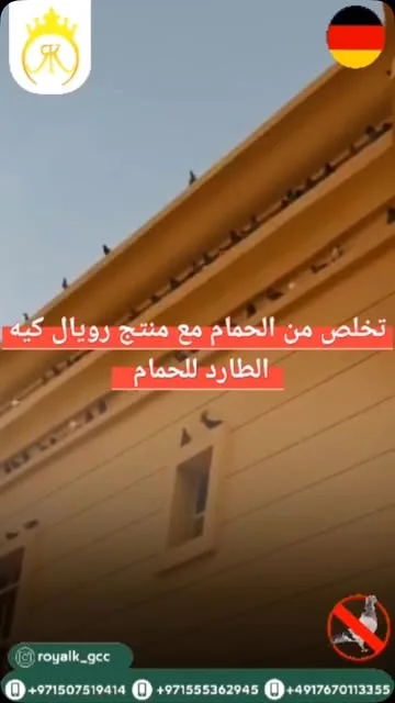 حمام يقف على حواف مبنى