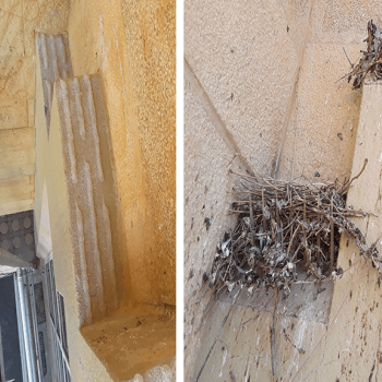 Fob Pigeon Repellent Gel | The discreet and effective solution for protecting windows and surfaces